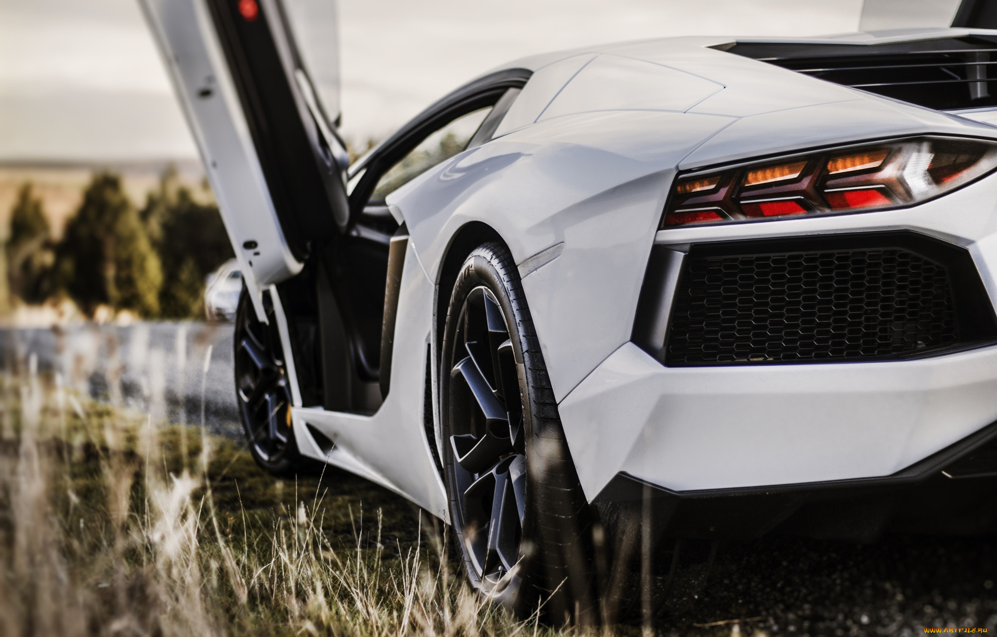 ,  , lamborghini, , 